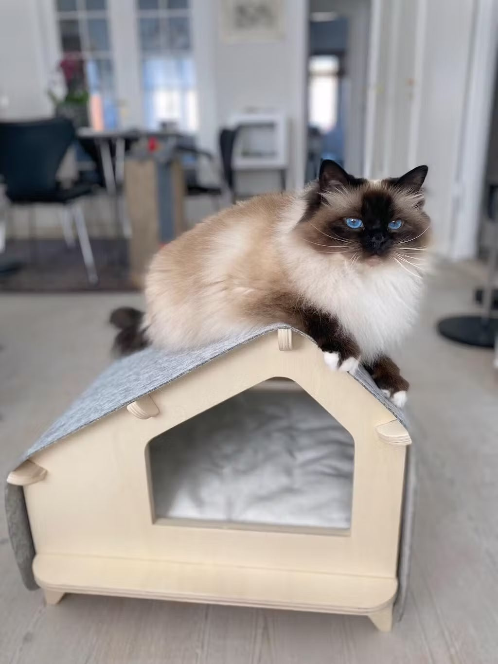 Wooden Foldable Pet House for Dog and Cat with Removable Cushion (Small)