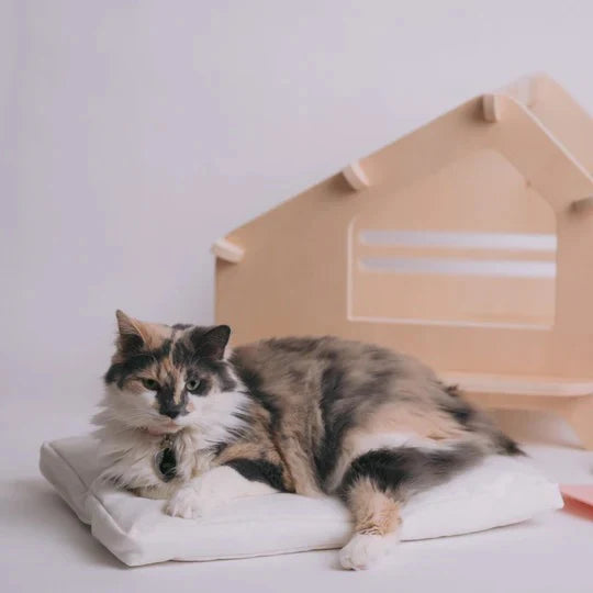 Wooden Foldable Pet House for Dog and Cat with Removable Cushion (Small)